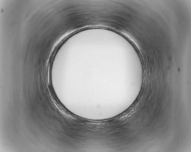 X0000085841127200704091716