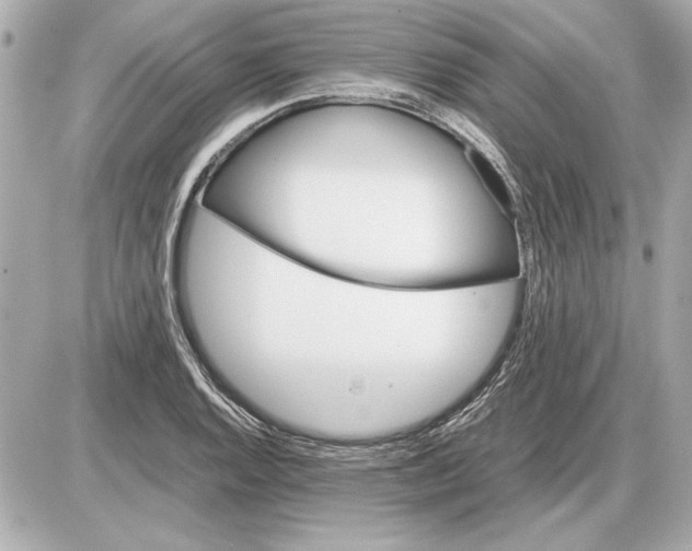 X0000085841128200704091716
