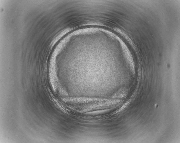 X0000085841129200704091716