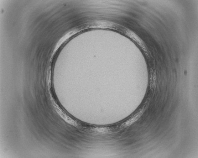 X0000085841130200704091716