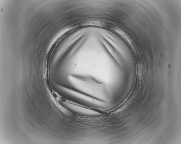 X0000085841131200704091716