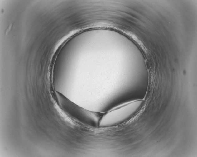 X0000085841134200704091716