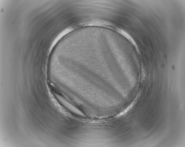 X0000085841138200704091717