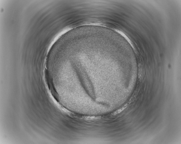 X0000085841139200704091717