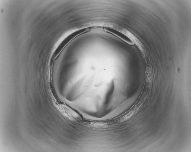 X0000085841140200704091717
