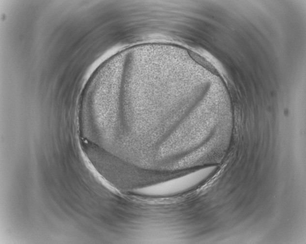 X0000085841142200704091717
