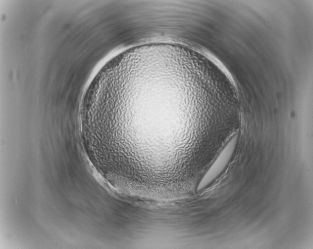 X0000085841148200704091717
