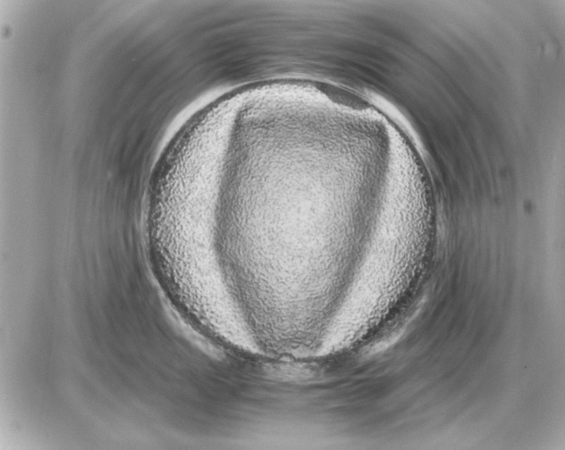 X0000085841149200704091717