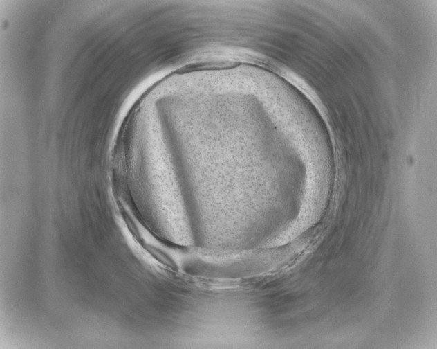 X0000085841152200704091717