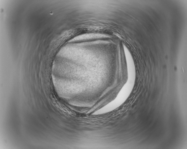 X0000085841153200704091716