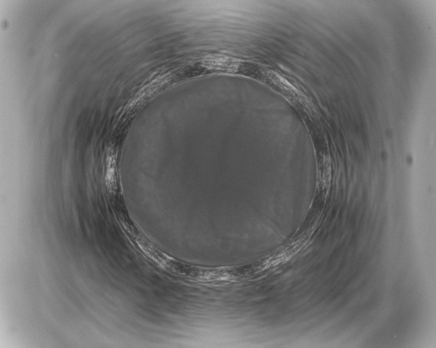 X0000085841154200704091716