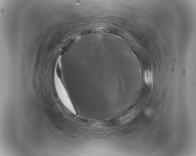X0000085841155200704091716