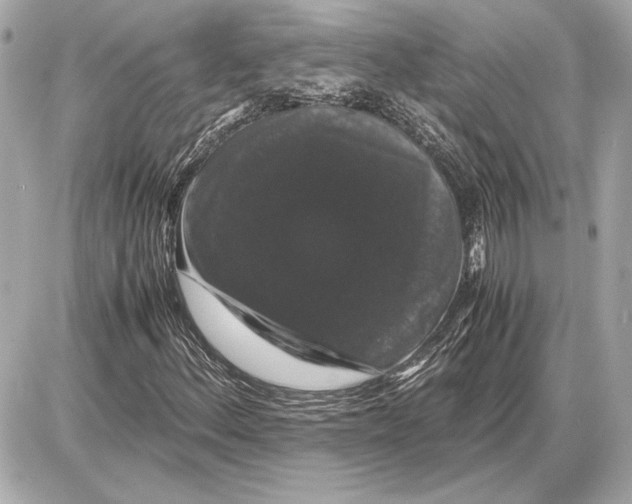 X0000085841156200704091716