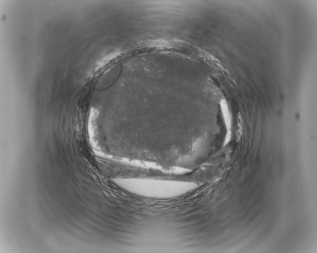 X0000085841158200704091716