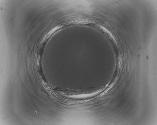 X0000085841161200704091716