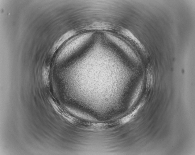 X0000085841162200704091716