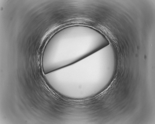 X0000085841164200704091716