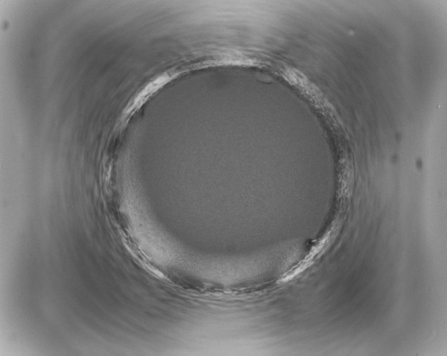 X0000085841169200704091716