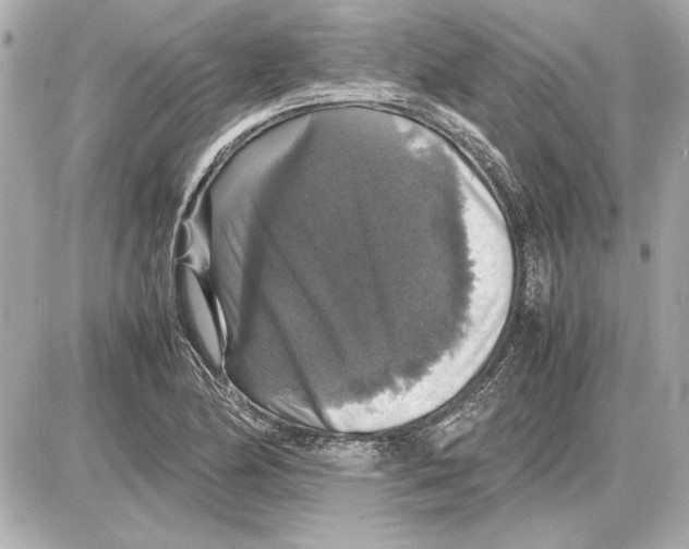 X0000085841174200704091716