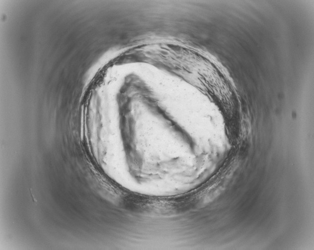 X0000085841175200704091716