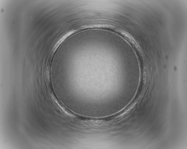 X0000085841177200704091716