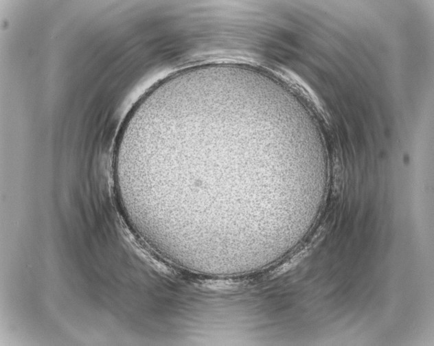 X0000085841182200704091716