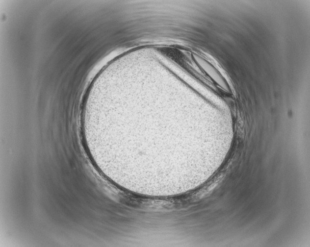 X0000085841187200704091715