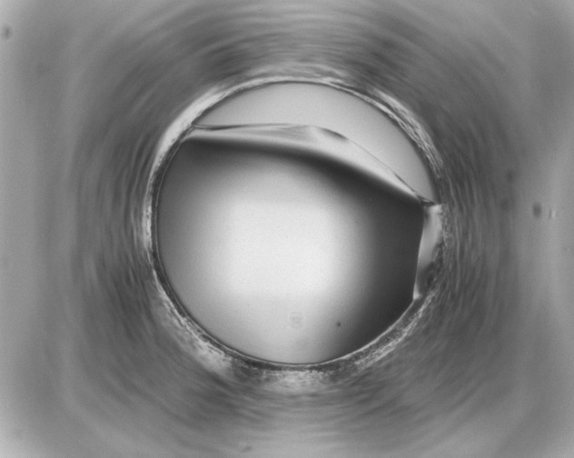 X0000085841188200704091715