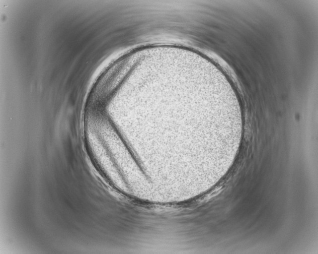 X0000085841191200704091715