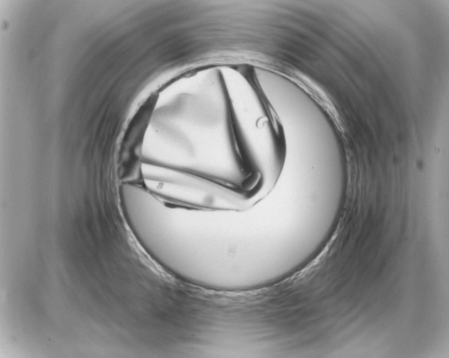 X0000085841192200704091715