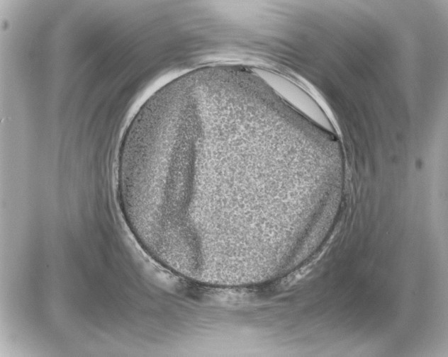 X0000085841195200704091715