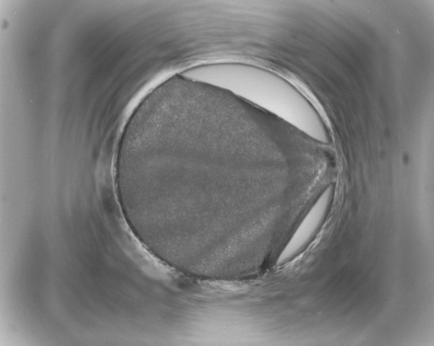 X0000085841197200704091715