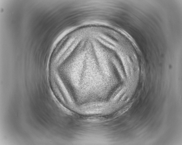 X0000085841199200704091715