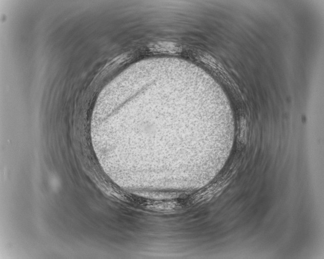 X0000085841201200704091714
