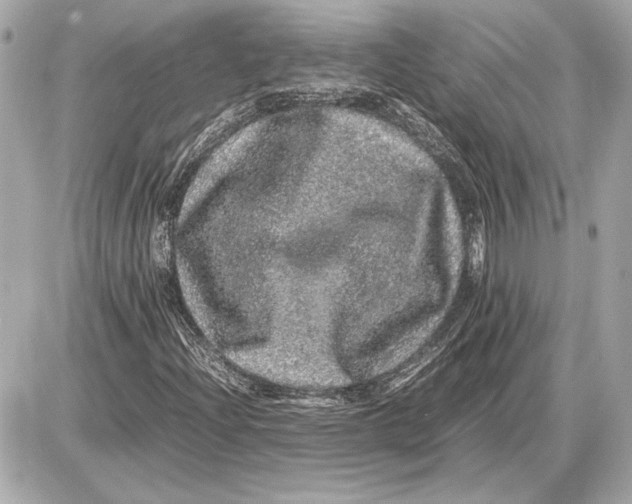 X0000085841204200704091714