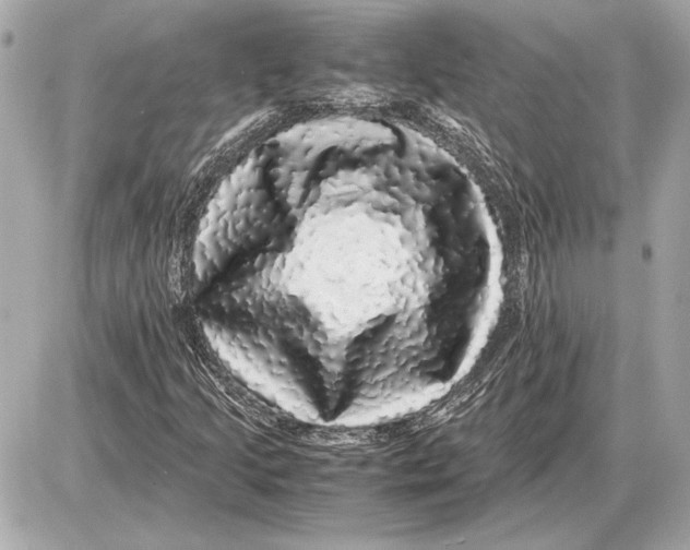 X0000085841205200704091714