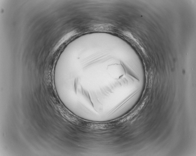 X0000085841211200704091715