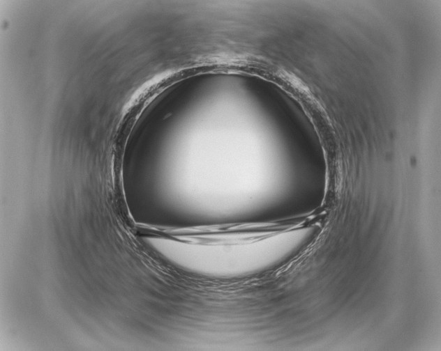 X0000085841214200704091715