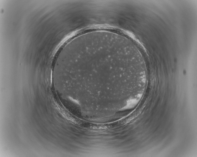 X0000085841221200704091715