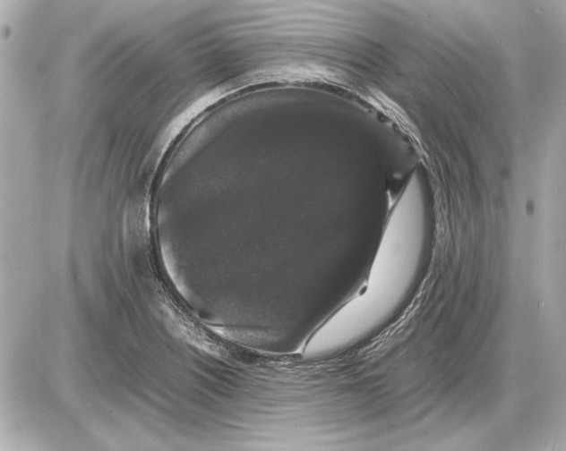 X0000085841226200704091715