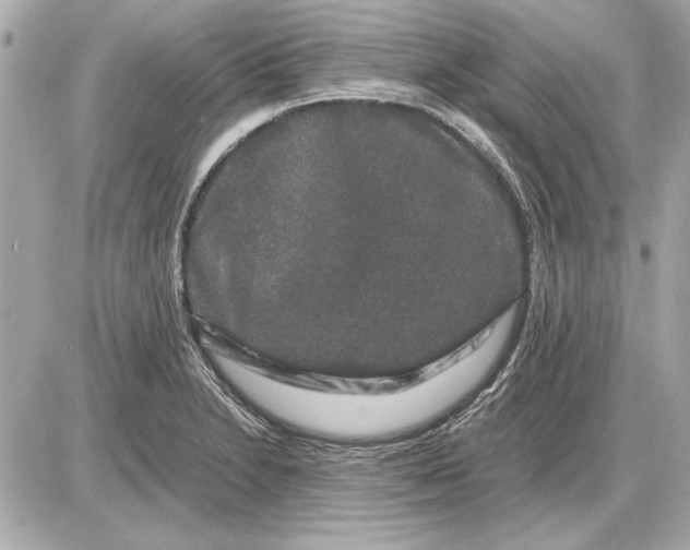 X0000085841230200704091715