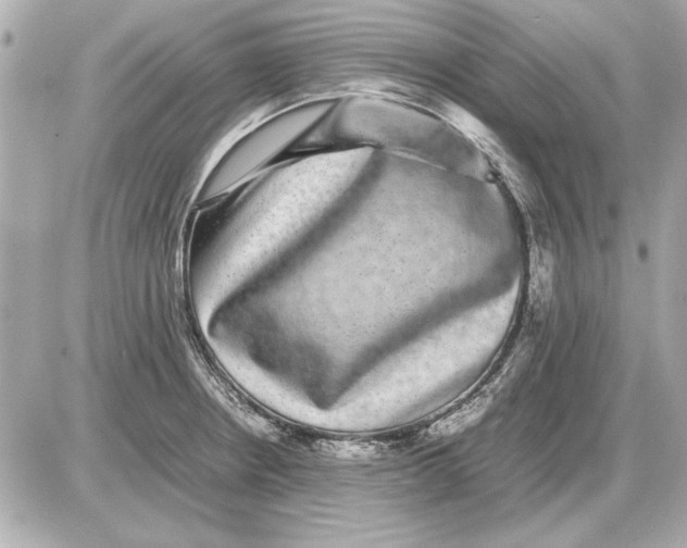 X0000085841234200704091715