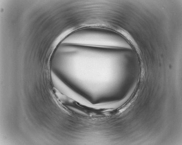 X0000085841242200704091715