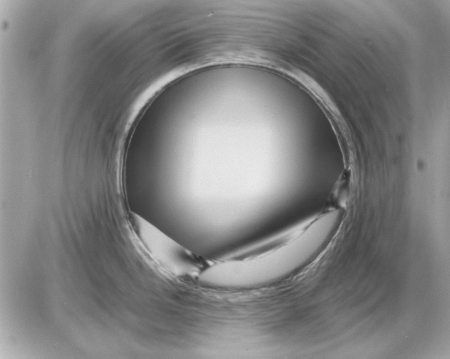 X0000085841246200704091715