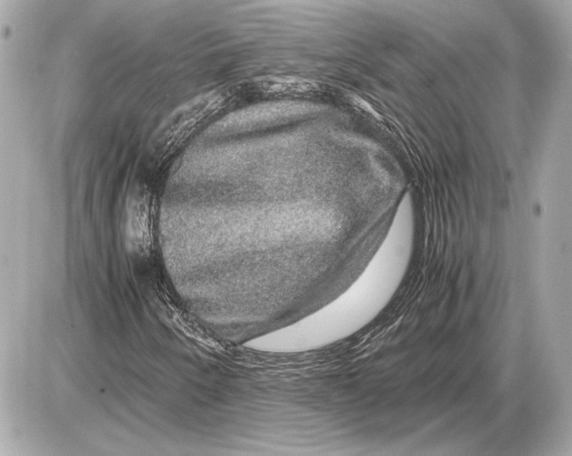 X0000085841250200704091714