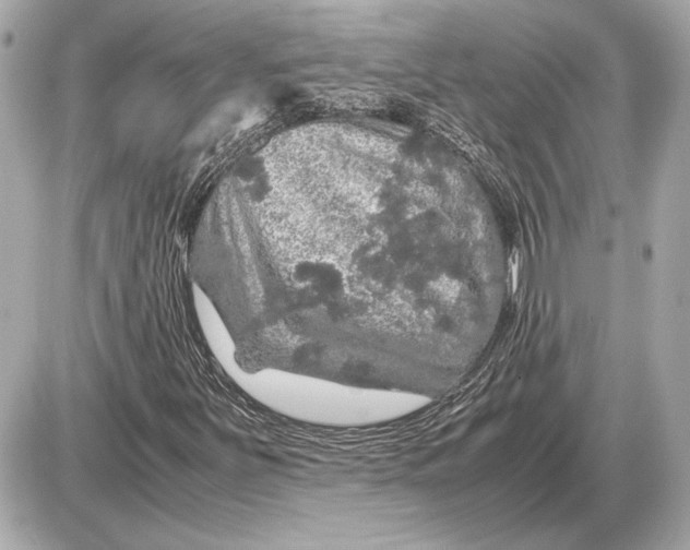 X0000085841251200704091714