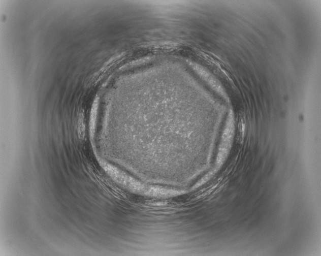 X0000085841252200704091714