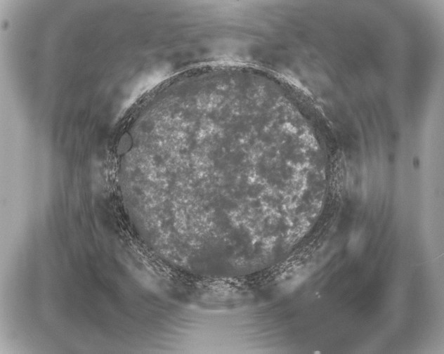 X0000085841255200704091714