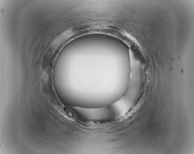 X0000085841257200704091714
