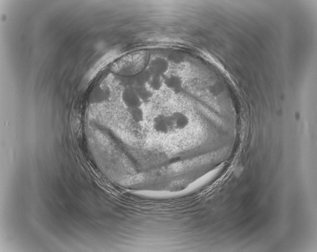 X0000085841259200704091714